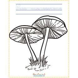 Champignons mousserons à colorier