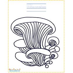 Pleurotes à colorier