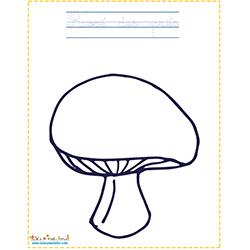 Coloriage d'un rosé des prés