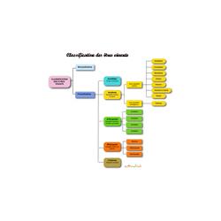 Classification du règne animal. Fiche de synthèse sur l'organisation du règne animal.  Le mot animal est à prendre au sens le plus large, celui du règne. Le règne animal inclue l'homme. Si