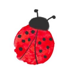 Peindre des coccinellesaux doigts