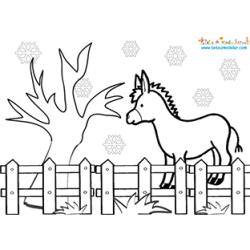 Ane de Saint Nicolas dans le pré