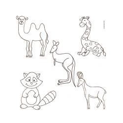Coloriage des animaux du monde
