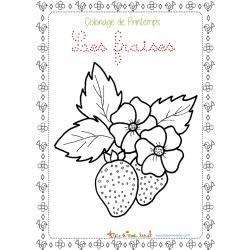 Un coloriage à imprimer sur le printemps. Sur ce coloriage le dessin de deux fraises et de fleurs de fraisier est entouré d'une petite frise sur le thème du printemps.