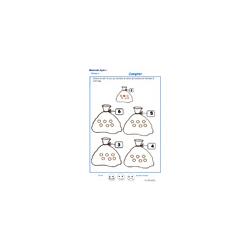 exercice 4 : compter et colorier les billes MS 