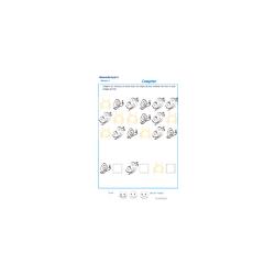 exercice 3 pour compter les papillons GS 