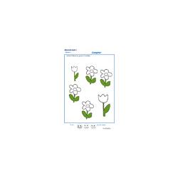 exercice n°3 : colorier le bon nombre de fleurs MS