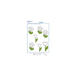 Exercice 4 pour compter les fleurs