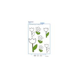 Colorier les fleurs en suivant la consigne MS