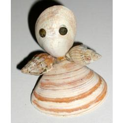 Réaliser un personnage en coquillages