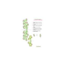 Les plantes vertes le jardin de Mathilde