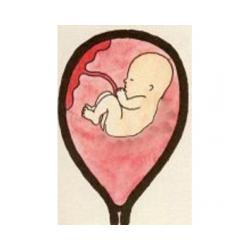 Bébé à 17 semaines - 4 ème mois de grossesse 