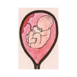 Les changements de bébé à 5 mois de grossesse 