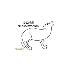 Coloriage dingo d'Australie