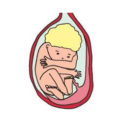 S'il ne l'a pas encore fait, votre bébé va se retourner pour adopter une position foetale tête en bas. La position foetale est la position la plus adaptée pour faciliter un accouchement par les voies 