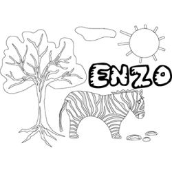 Enzo