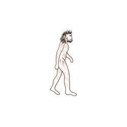 homo erectus 