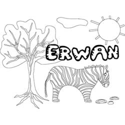 Erwan