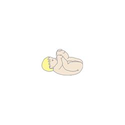 Développement du bébé  6 mois
