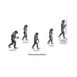 Evolution de l'homme