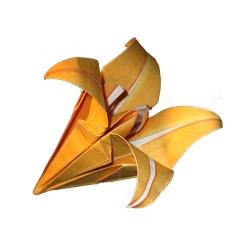 Fleur de lys origami
