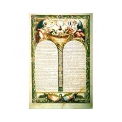 Texte de la constitution