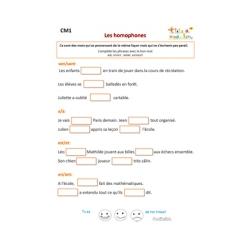 Exercices de grammaire CM1 