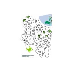 Fiche d'activit&eacute;s sur la grenouille &agrave; imprimer