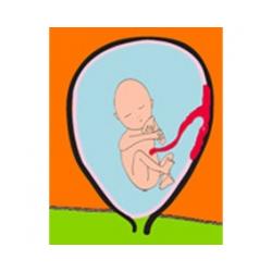 Les mouvements de bébé à 4 mois de grossesse 