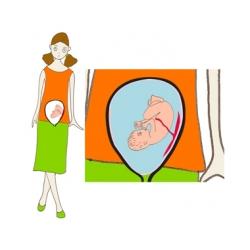 Place de bébé à 6 mois de grossesse 