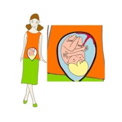 Après 9 mois bébé prend toute la place dans le ventre de maman