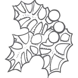 coloriage du houx de Noël