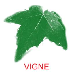 Fabriquer un imagier des feuilles pour bébé