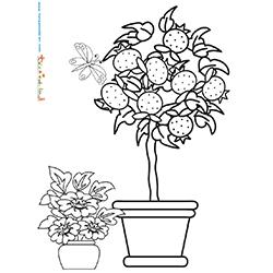 Oranger en pot dans un jardin