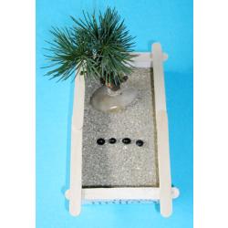 Jardin japonais miniature pour découvrir la zen attitude ! Un petit bricolage facile à faire pour détendre les enfants. jFiche explicative et illustrée pour une réalisation facile.