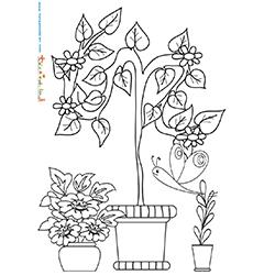 Pots dans un jardin à colorier
