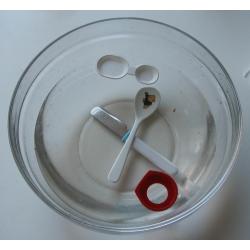 Jeux d'eau pour découvrir les objets qui flottent et qui coulent