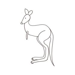 dessin d'un kangourou