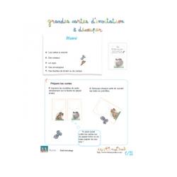cartes d'invitation
