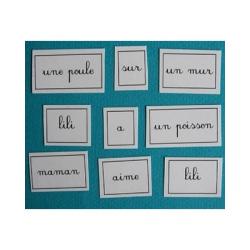 Activité sur les lettres grande section