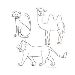 Coloriage mammifères