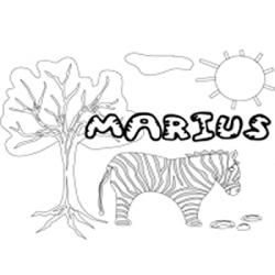 Marius