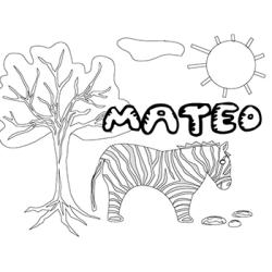 Matéo