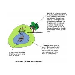 Le milieu se décompose 
