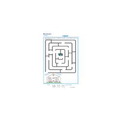 labyrinthe 2 MS : le paon et sa maison