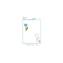 exercice 4 : Ajouter les fleurs qui manquent