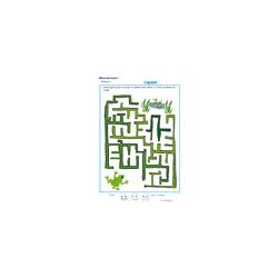 labyrinthe 6 MS : La grenouille et la marre 