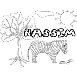Nassim