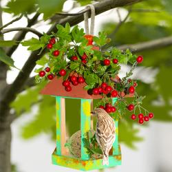 Nichoir nature pour les oiseaux
