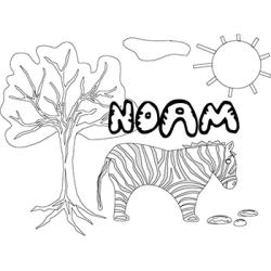 Noam